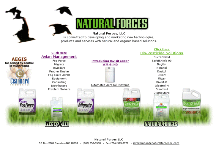 www.naturalforcesllc.com