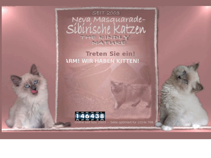 www.nevamasquarade-sibirischekatze.com