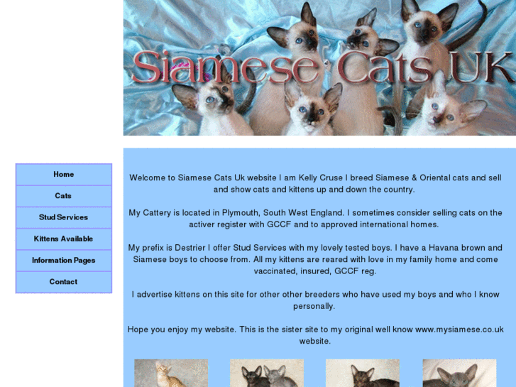 www.siamesecatsuk.co.uk