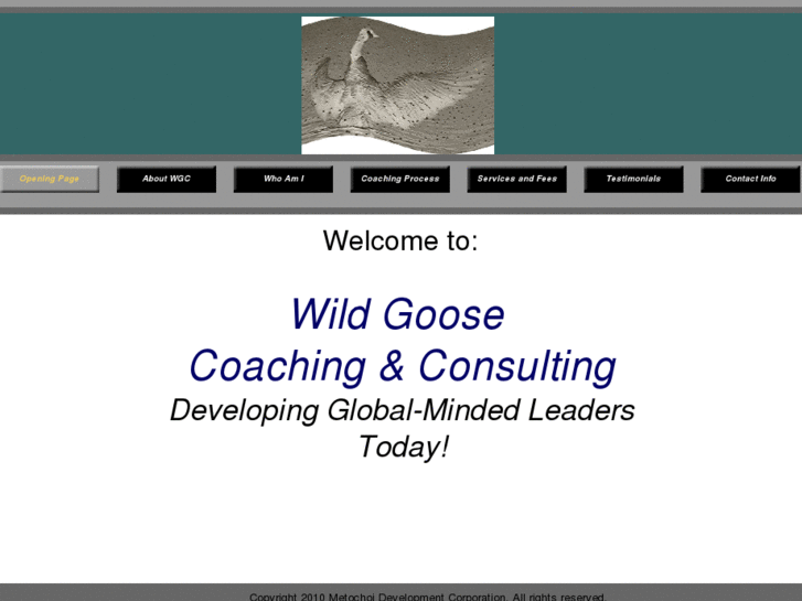 www.wildgoosecoaching.com