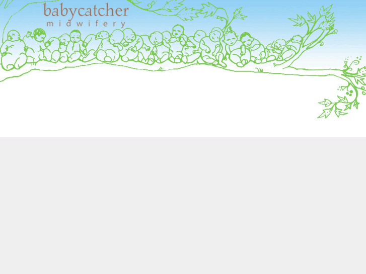 www.babycatcher.com