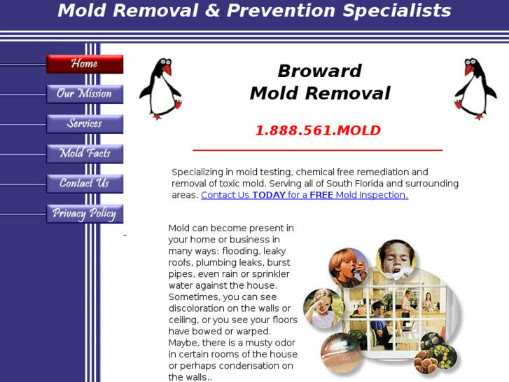 www.browardmoldremoval.com