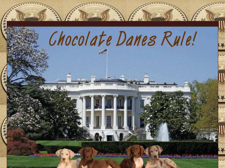 www.chocolatedanesrule.com