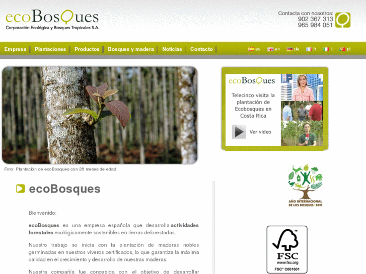 www.ecobosque.com