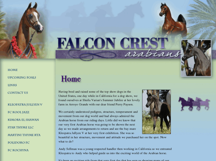 www.falconcrestarabians.net