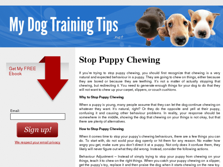 www.mydogtrainingtips.net