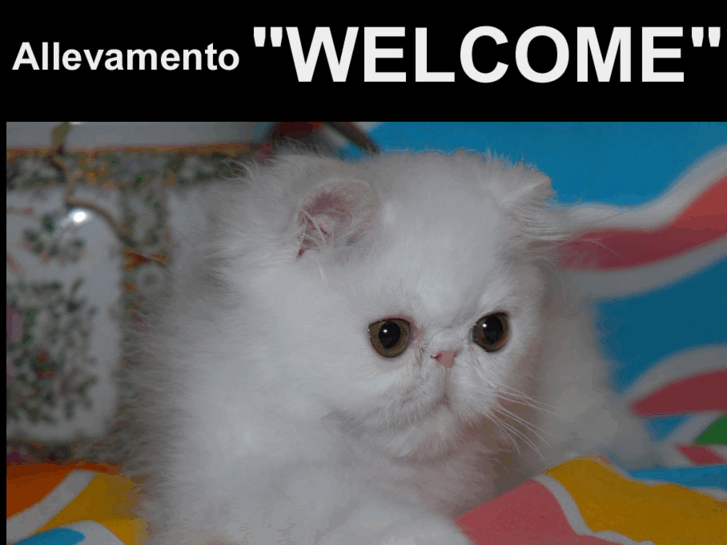 www.welcomecat.com