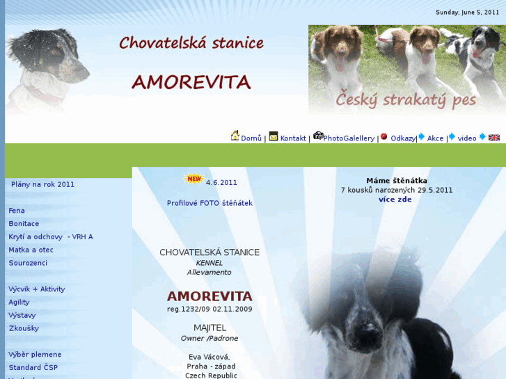 www.amorevita24.com