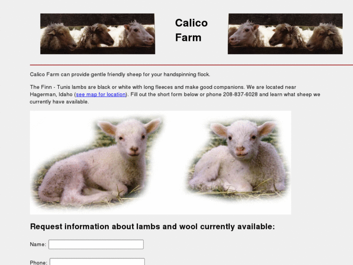 www.calicosheep.com