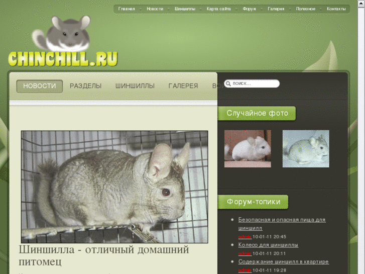 www.chinchill.ru