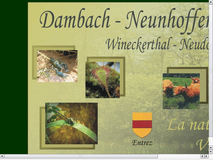 www.dambach-neunhoffen.com