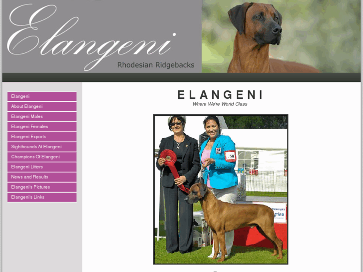 www.elangenirrs.com