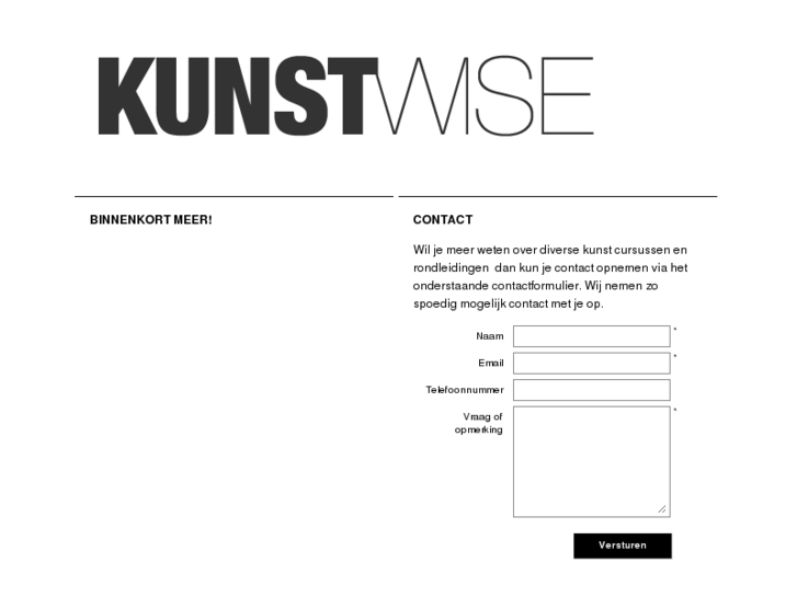 www.kunstwise.com