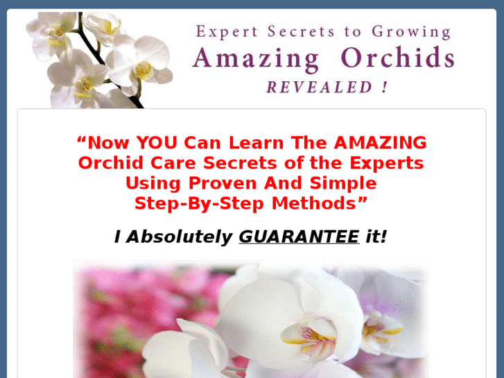 www.orchidexpertsecrets.com