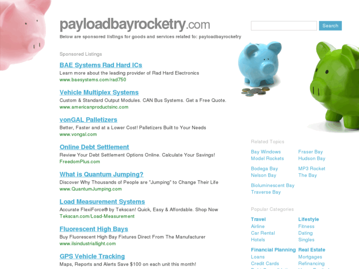 www.payloadbayrocketry.com