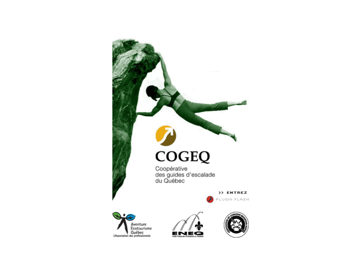 www.cogeq.com