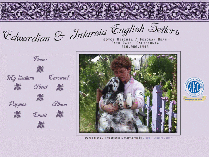 www.edwardianenglishsetters.com