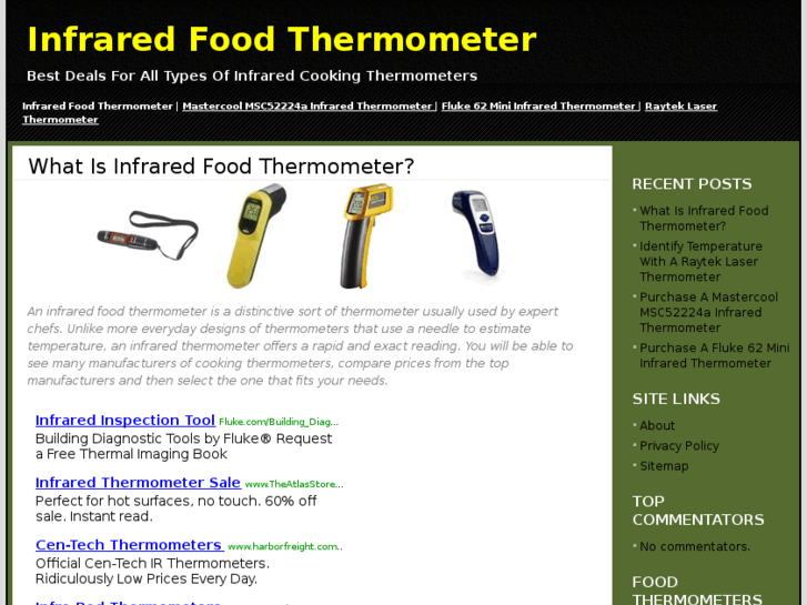 www.infraredfoodthermometer.com