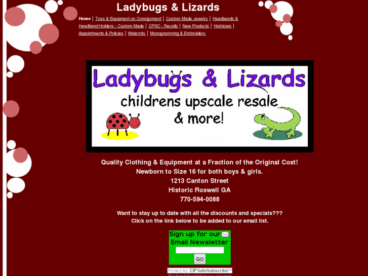 www.ladybugs-and-lizards.com