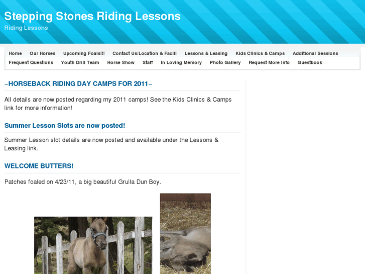 www.steppingstonesriding.com