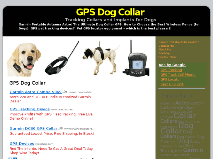 www.thegpsdogcollar.com