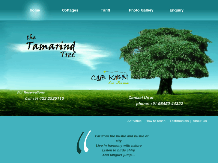 www.thetamarindtree.in