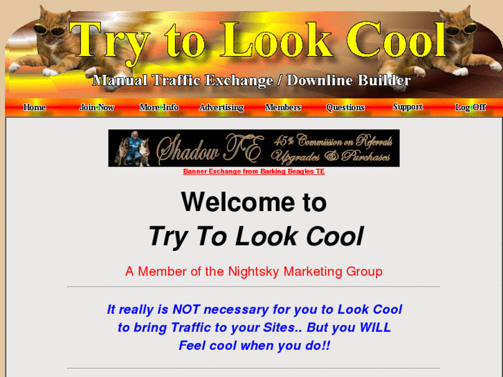 www.trytolookcool.com