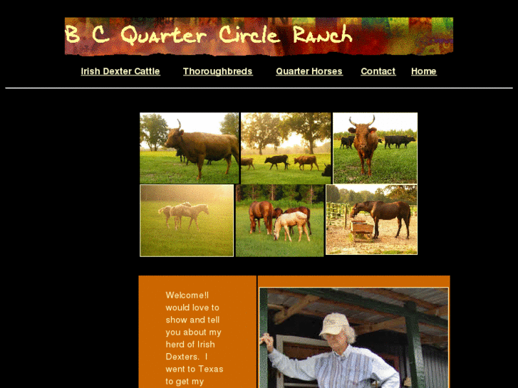 www.bcqcranch.com