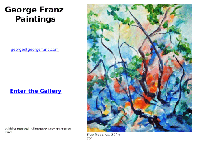 www.georgefranz.com