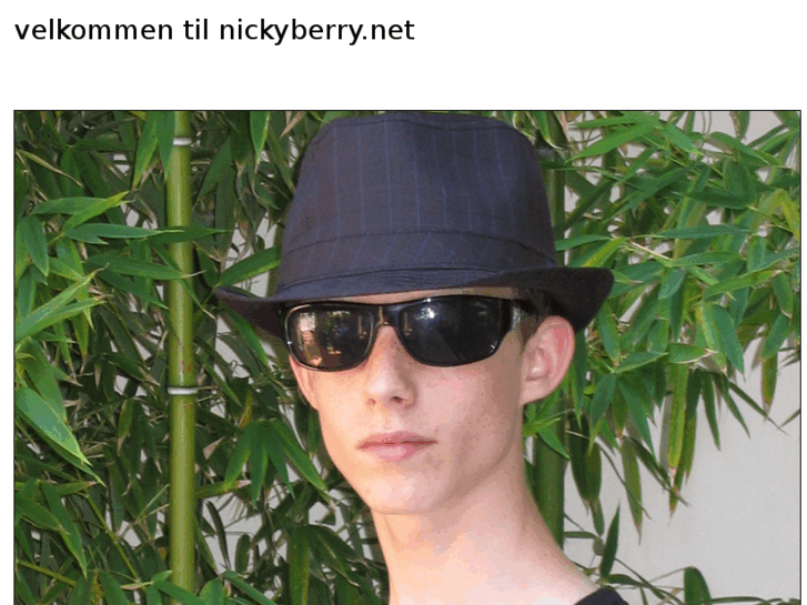 www.nickyberry.net