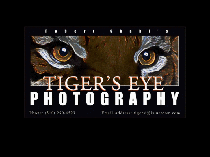 www.tigersiphoto.com