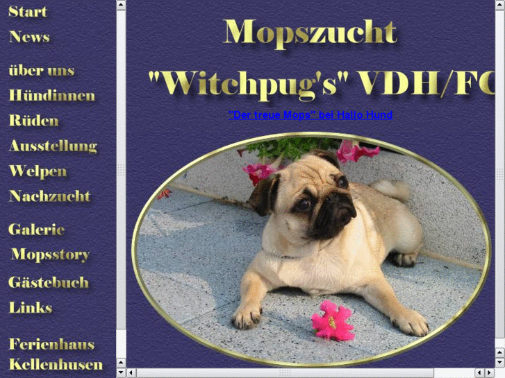 www.witchpugs.de