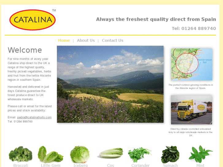 www.catalinafruits.co.uk