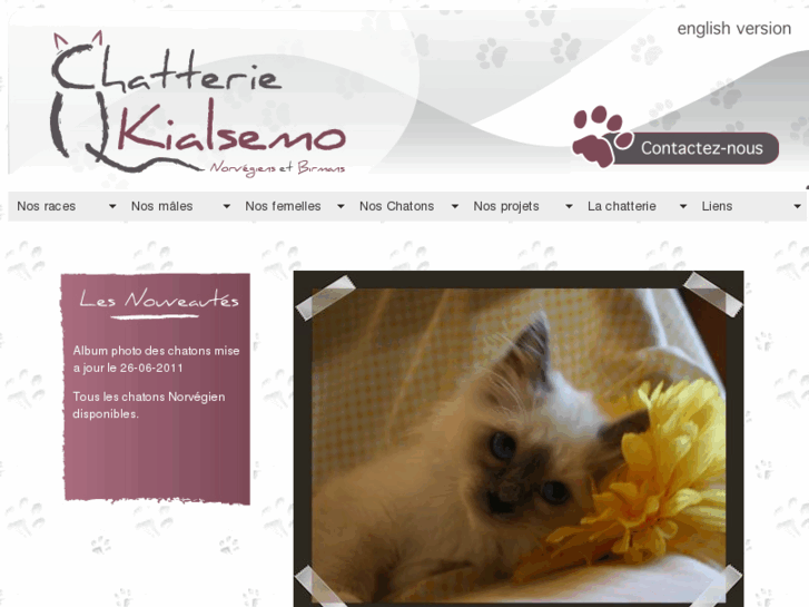 www.kialsemo.com