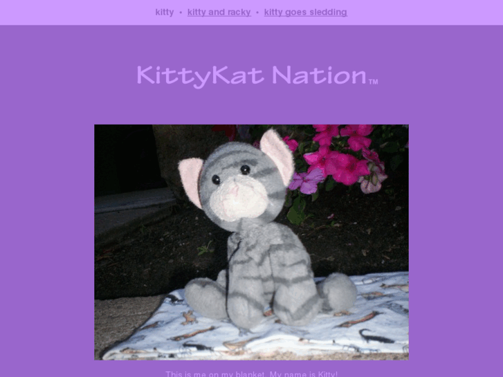 www.kittykatnation.com