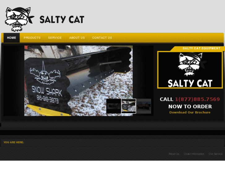 www.saltycatequip.com