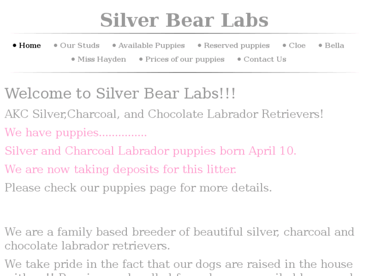 www.silverbearlabs.com