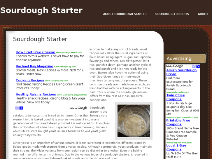 www.sourdoughstarter.net