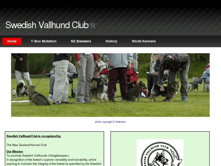 www.svclub.org.nz