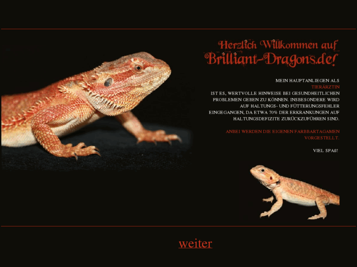 www.brilliant-dragons.de