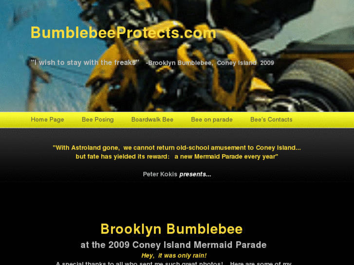 www.bumblebeeprotects.com
