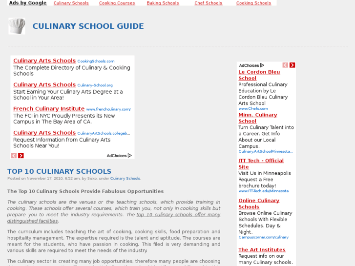 www.culinaryschoolsguide.info