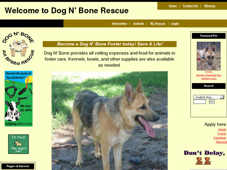 www.dognbonerescue.com