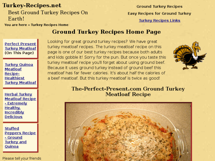 www.turkey-recipes.net