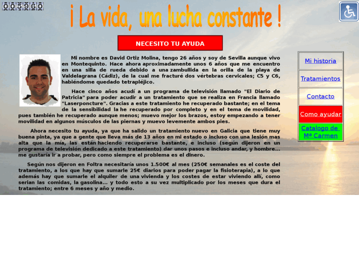 www.ayudaadavid.es