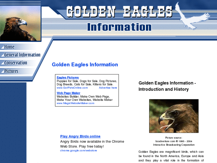 www.golden-eagles-information.com