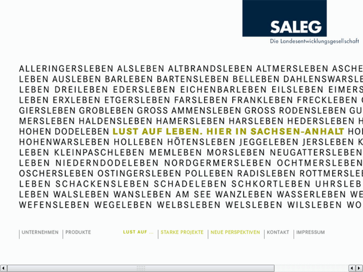 www.saleg.de