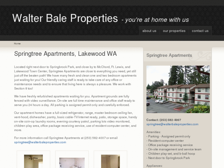 www.springtree4you.com