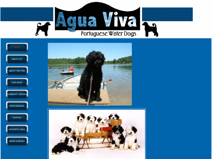 www.aguavivapwds.com