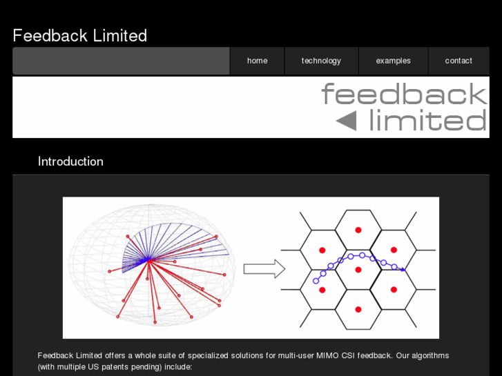www.feedbacklimited.com